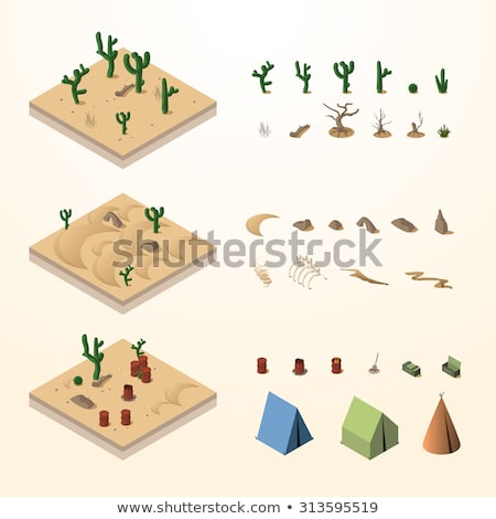 Stockfoto: Cactus Isometric Icon Vector Illustration