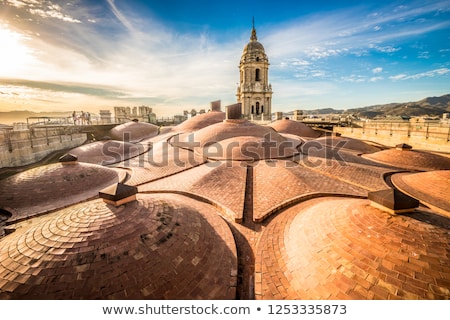 ストックフォト: Malaga Cathedral