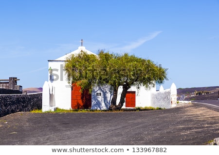 Сток-фото: Landscape La Geria In Lanzarote A Wine Area On Volcanic Ashh