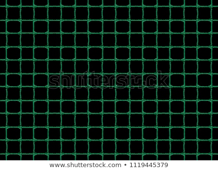 Сток-фото: Green Fishnet