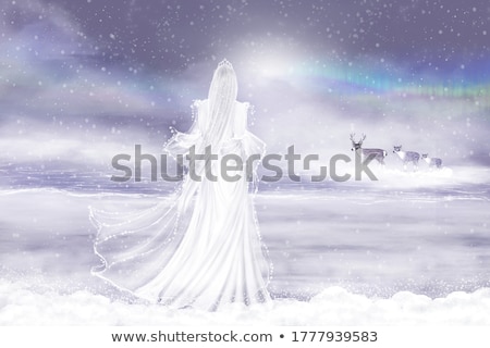 Stockfoto: Queen Of Winter