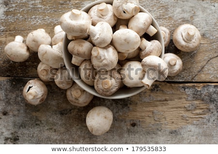 Foto stock: Button Mushroom