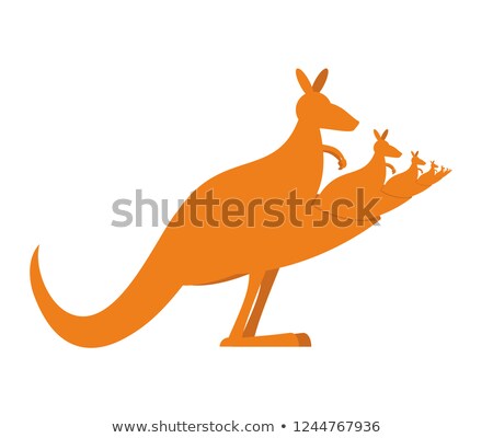 Stock fotó: Kangaroo Recursion Lot Of Australian Kangaroos Are Sitting In T