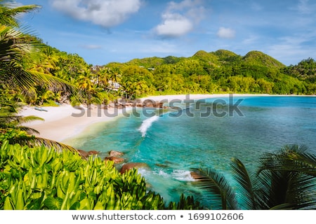 Foto stock: Beautiful Tropical Beach With Lush Vegetation