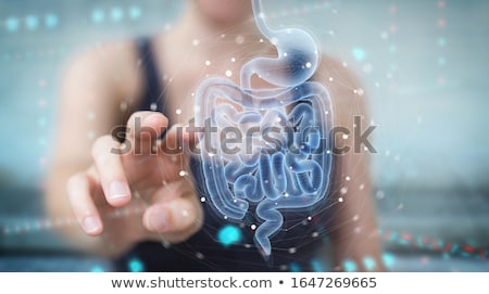 [[stock_photo]]: Intestine