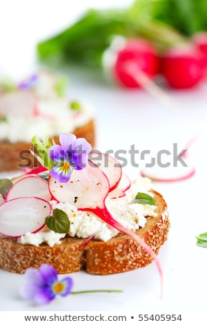 Foto d'archivio: Garden Radish Sandwiches