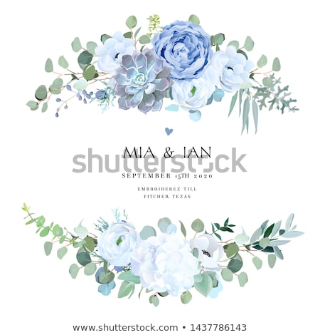 Stock photo: Vector Card With White Rose And Blue Flowers