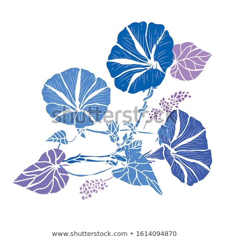 [[stock_photo]]: Morning Glory