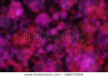 Foto stock: Nice Violet Amethyst Background