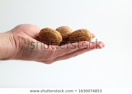 Stock photo: Hand Holding Nutmeg