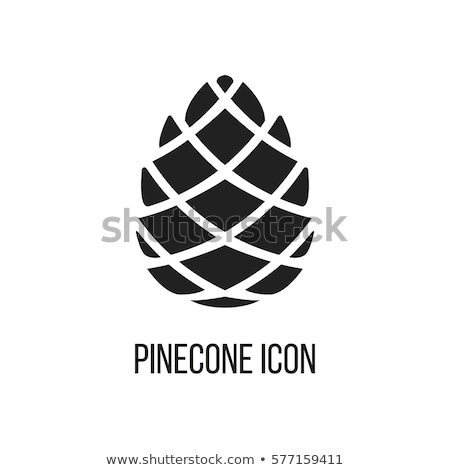 Stok fotoğraf: Vector Pine Cone