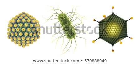 [[stock_photo]]: Adenovirus Outbreak