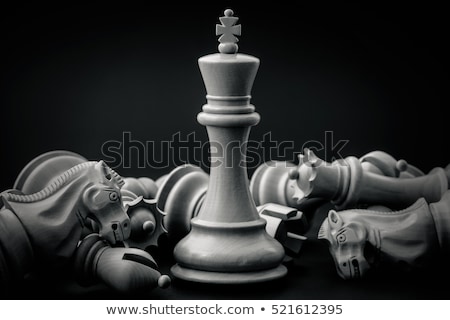 Foto d'archivio: Chess Kingdom