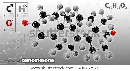 Foto stock: 3d Illustration Of Testosterone Neurotransmitter Molecule