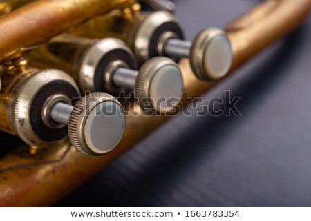 ストックフォト: Old Trumpet On A Dark Background