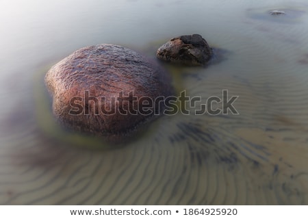 Foto d'archivio: Colorful Rocks With Green Moss In Shallow Sea Water Background