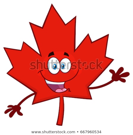 Stock foto: Canadian Red Maple Leaf Cartoon Mascot Character Waving