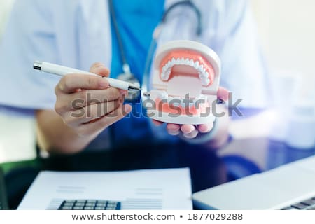 Stock foto: Concentrated Dentist Sitting At Table With Jaw Samples Tooth Mod