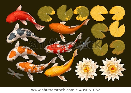 Stock fotó: Japanese Or Chinese Koi Fish Illustration