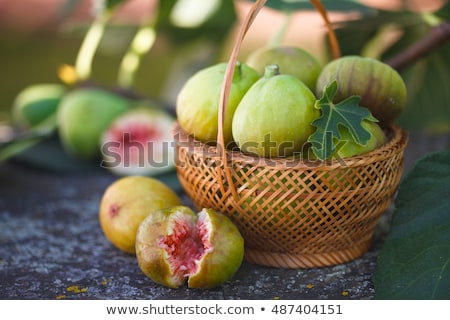 Foto stock: Green Figs Ripening On A Tree