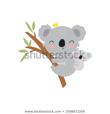 Zdjęcia stock: Family Of Koalas