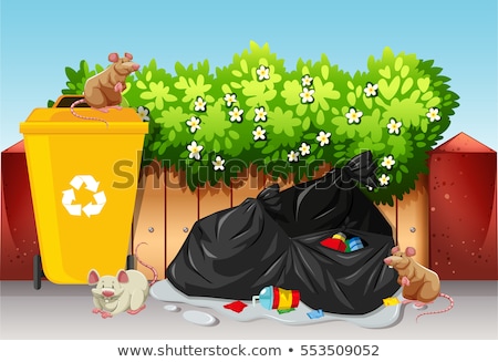 Foto stock: Scene With Trash Bags And Rats