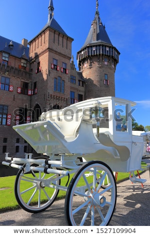 Stock foto: King And Queen At The Castle