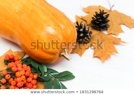 [[stock_photo]]: Dry Autumn Leaves Rowanberries And Pine Cones