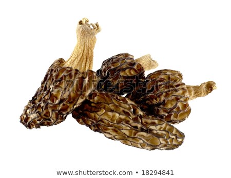 Dried Morels On A White Stockfoto © pzAxe