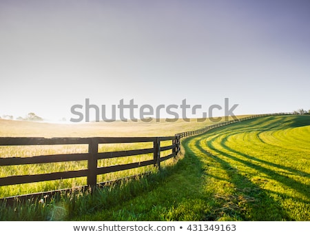 [[stock_photo]]: Rural Landscape At Dawn