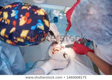 Foto stock: Tool For Sinus Lifting