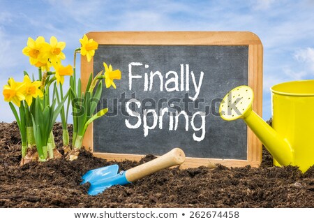 Foto d'archivio: Sign In The Flower Bed With The Text Finally Spring