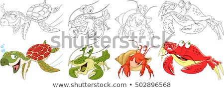 Zdjęcia stock: Funny Hermit Crabs