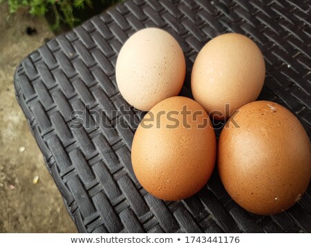 Stock photo: Spot The Difference Chicken 4