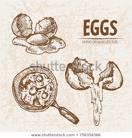 Foto stock: Digital Vector Detailed Line Art Eggs