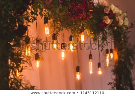 Imagine de stoc: Wedding Reception Decoration With Different Electric Edison Lamps And Fresh Flowers Rustic Style