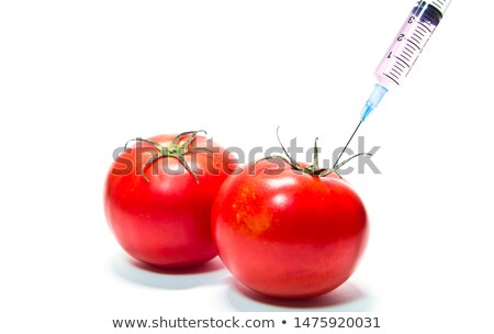 Stock photo: Tomatos For Genetic Reserach