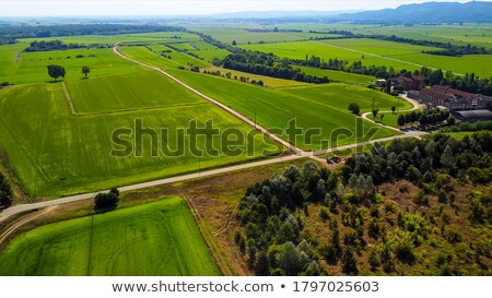 Сток-фото: Water Meadow With Growing Grass Agriculture Background