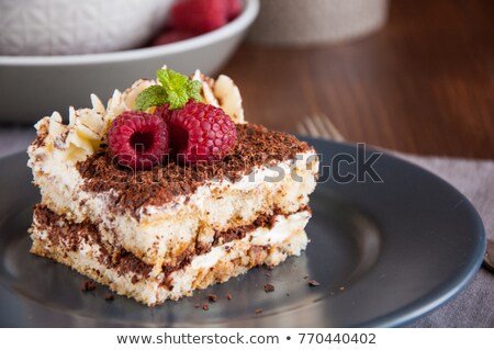 Сток-фото: Home Made Tiramisu Dessert