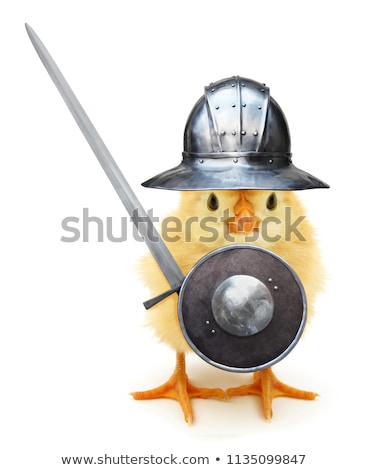 Foto stock: Funny Knight Isolated On The White Background