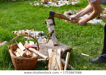Stockfoto: Woman Lumberjack Chopping Branch Of Tree