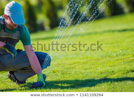Stock photo: Sprinkler Of Automatic Watering