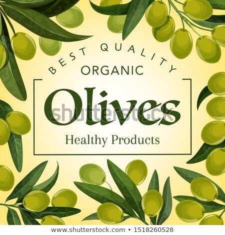 Stock fotó: Olive Extra Virgin Organic Product Poster Vector