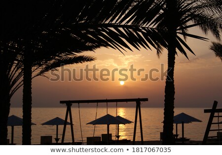 Stockfoto: Silhouettes Of Palm Trees Above The Sea And Rising Sun