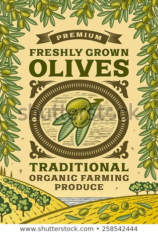 Stock photo: Olive Grove Poster