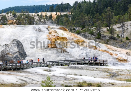 Foto stock: Mammoth Hot Springs Terraces