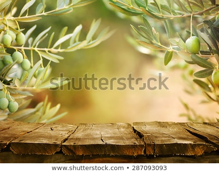 Foto stock: Olive Tree Background