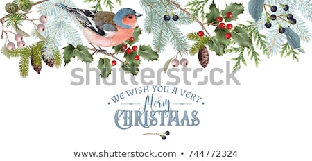 商業照片: Christmas Birds On Winter Tree Vector