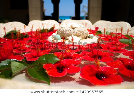 Foto stock: The Vase With Clean Water And Hibiskus Flower