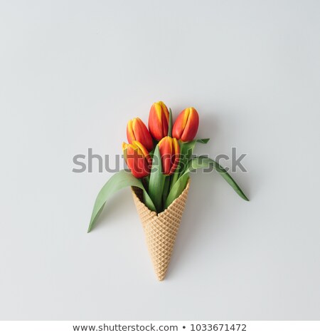 Foto stock: Ice Cream And Fresh Tulips